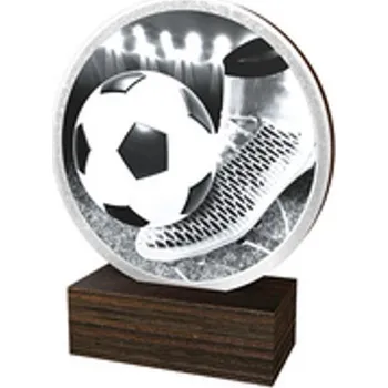 Poháry Bauer Dřevěná plaketa TFRW507 | Fotbal