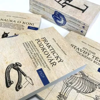 Umění Publ Lechner Kompletní dílo DOPRODEJ