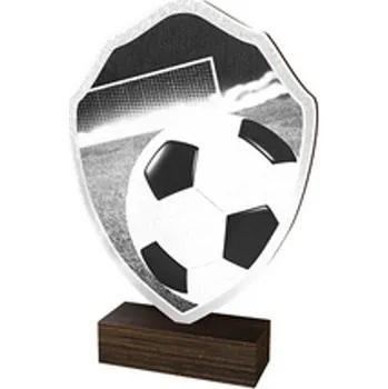 Poháry Bauer Dřevěná plaketa TFRW003 | Fotbal