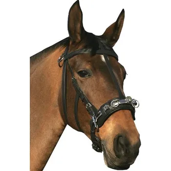 Lonžovací obnosek Equiservis nerez kožený DOPRODEJ