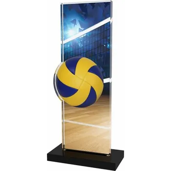 Poháry Bauer Akrylátová trofej APLAM15 | Volejbal