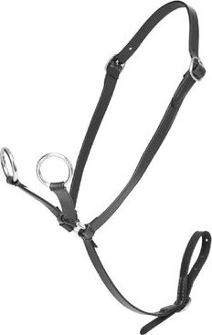 Martingal LeMieux Toy Pony