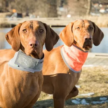 turistický návlek Šátek Back on Track Draco reflexní DOPRODEJ