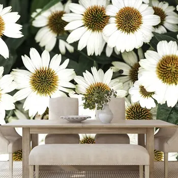 Tapeta Dovido Samolepící fototapeta léčivé květy heřmánku