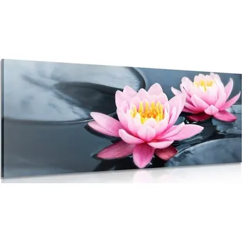 Obraz Dovido Obraz lotosový květ v jezeře