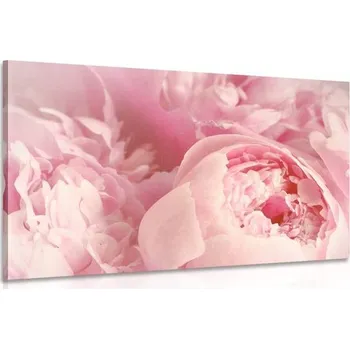 Obraz Dovido Obraz lupínky květu