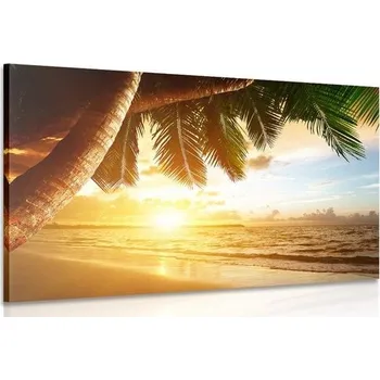 Obraz Dovido Obraz východ slunce na karibské pláži