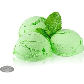 Fabbri 1905 Ochucovací pasta máta Delipaste Mint - 1,5 kg