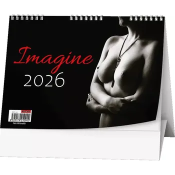 Kalendář Stolní kalendář 2026 Imagine (BSE9-26)