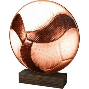 Poháry Bauer Dřevěná plaketa WF277 | Volejbal
