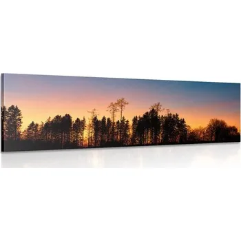 Obraz Dovido Obraz les zahalen tmou