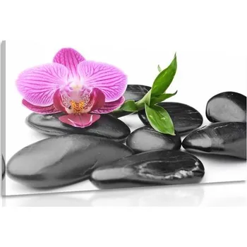 Obraz Dovido Obraz masážní wellness kameny