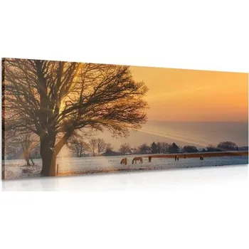 Obraz Dovido Obraz koně v zasněžené krajině