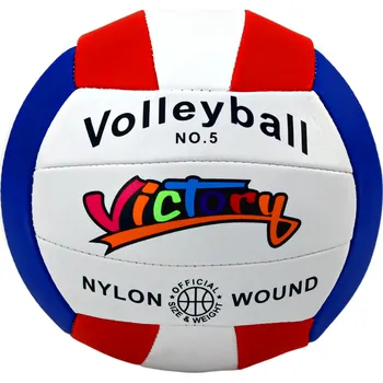 Volejbal LEAN Toys Barevný Volejbalový Míč Vel. 5 Bílá