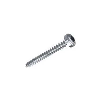 Vrut 4x60 PH SPANPL.A4 N9110 TX