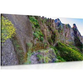 Obraz Dovido Obraz úzká turistická cestička