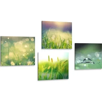 Obraz Dovido Set obrazů ranní rosa na louce
