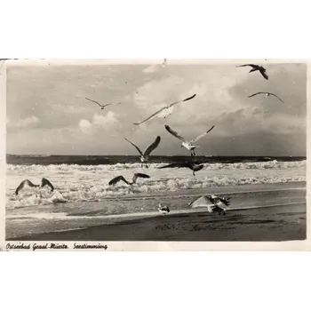 Stará Pohlednice Německo, Rok 1955, Dopisnice 100/88 (Stará pohlednice)