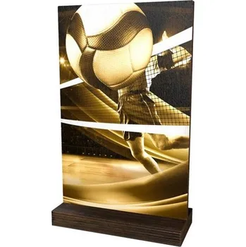 Poháry Bauer Dřevěná plaketa WPLAR01M15 | Volejbal