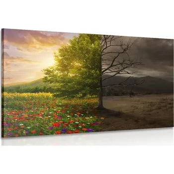 Obraz Dovido Obraz dvě podoby stromu