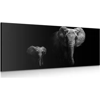 Obraz Dovido Obraz malý slon a slonice