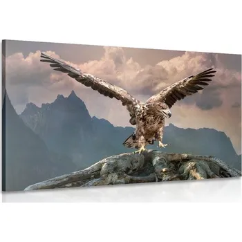 Obraz Dovido Obraz orel s roztaženými křídly nad horami