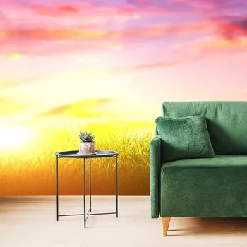 Tapeta Dovido Tapeta východ slunce nad loukou