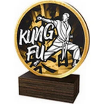 Poháry Bauer Dřevěná plaketa TFRW607 | Bojová umění