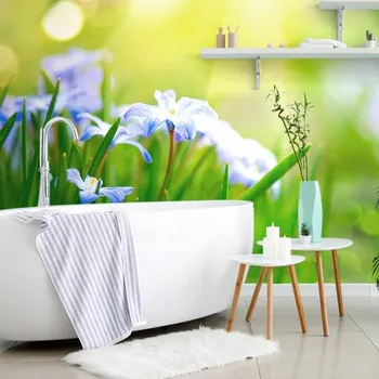 Tapeta Dovido Samolepící tapeta květiny na louce v jarním období