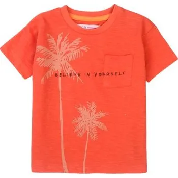 Chlapecké tričko Tričko chlapecké s krátkým rukávem, Minoti, Vacay 6, červená - 86/92 | 18-24m