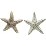 Ozdoba Mořská hvězda bílá/růžová 1ks, 17 cm - Bílá