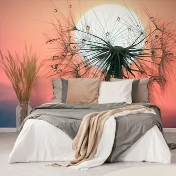 Tapeta Dovido Samolepící fototapeta pampeliška při západu slunce