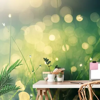 Tapeta Dovido Samolepící tapeta ranní rosa