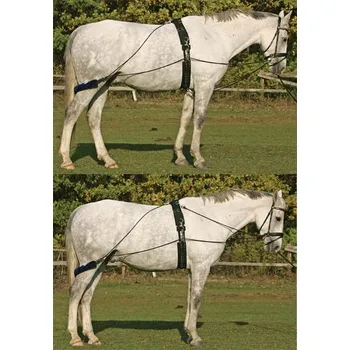 Postroj pro psa Lonžovací postroj PES ECO