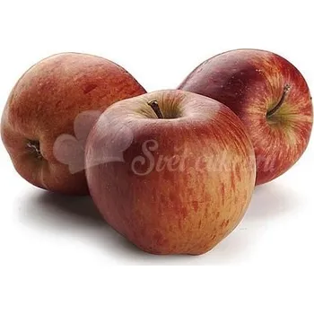 Ovocná náplň Jablko Frutafill 5 kg - Zeelandia