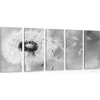Obraz Dovido 5-dílný obraz kouzelná pampeliška v černobílém provedení