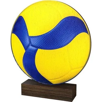 Poháry Bauer Dřevěná plaketa WF274 | Volejbal