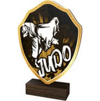 Poháry Bauer Dřevěná plaketa TFRW151 | Bojová umění