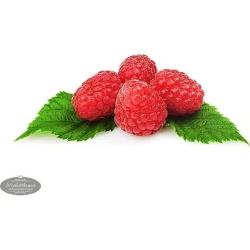 Zeelandia Ovocný gel Malinový 6 kg