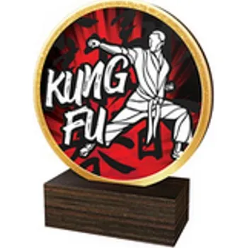 Poháry Bauer Dřevěná plaketa TFRW606 | Bojová umění