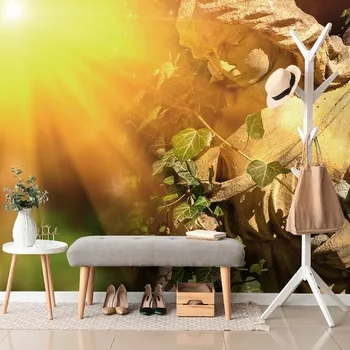 Fototapeta Dovido Fototapeta anděl s paprsky slunce