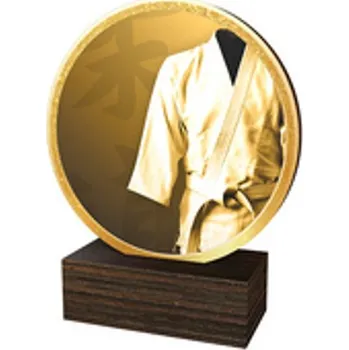 Volný čas Poháry Bauer Dřevěná plaketa TFRW583 | Bojová umění