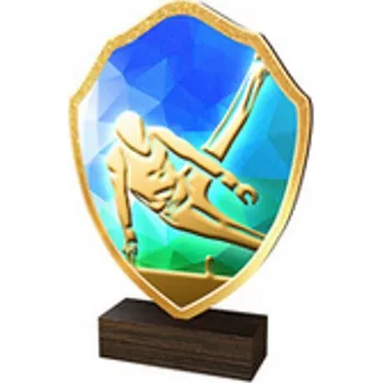 Poháry Bauer Dřevěná plaketa TFRW114 | Gymnastika