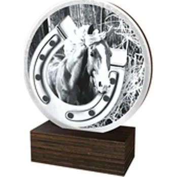 Poháry Bauer Dřevěná plaketa TFRW656 | Jezdectví