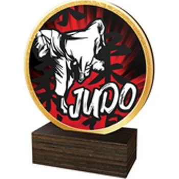 Poháry Bauer Dřevěná plaketa TFRW590 | Bojová umění