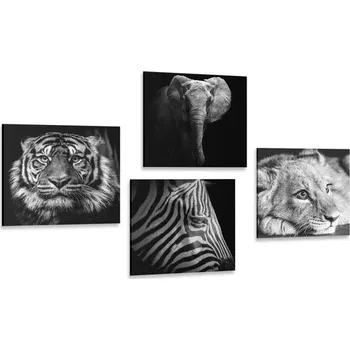 Obraz Dovido Set obrazů divoká zvířata v černobílém provedení