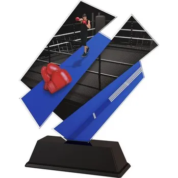 Poháry Bauer Akrylátová trofej ACZC001M25 | Bojová umění