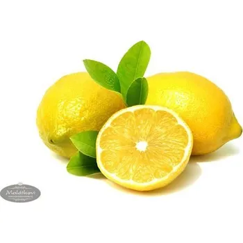 Citropasta - citronová ochucovací pasta 5 kg