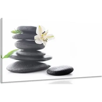 Obraz Dovido Obraz Zen kameny s lilií