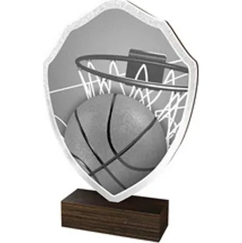 Poháry Bauer Dřevěná plaketa TFRW011 | Basketball
